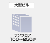 �緿�ӥ롡���ե���100��250��